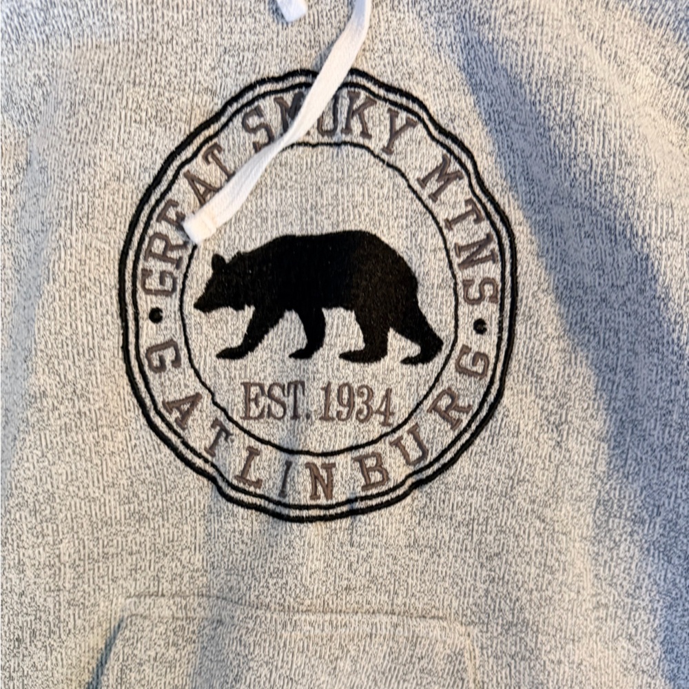 Dsquared2 Light Gray Bear Patch Hooded Sweatshirt - image 2